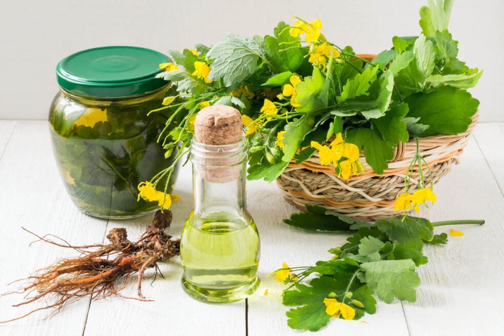 Aceite y decocción de celidonia para combatir la onicomicosis.